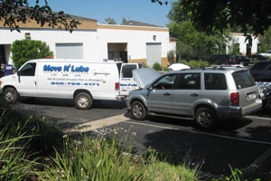 Cars and SUVs, domestic and imports